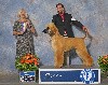  - Best of Breed aux USA