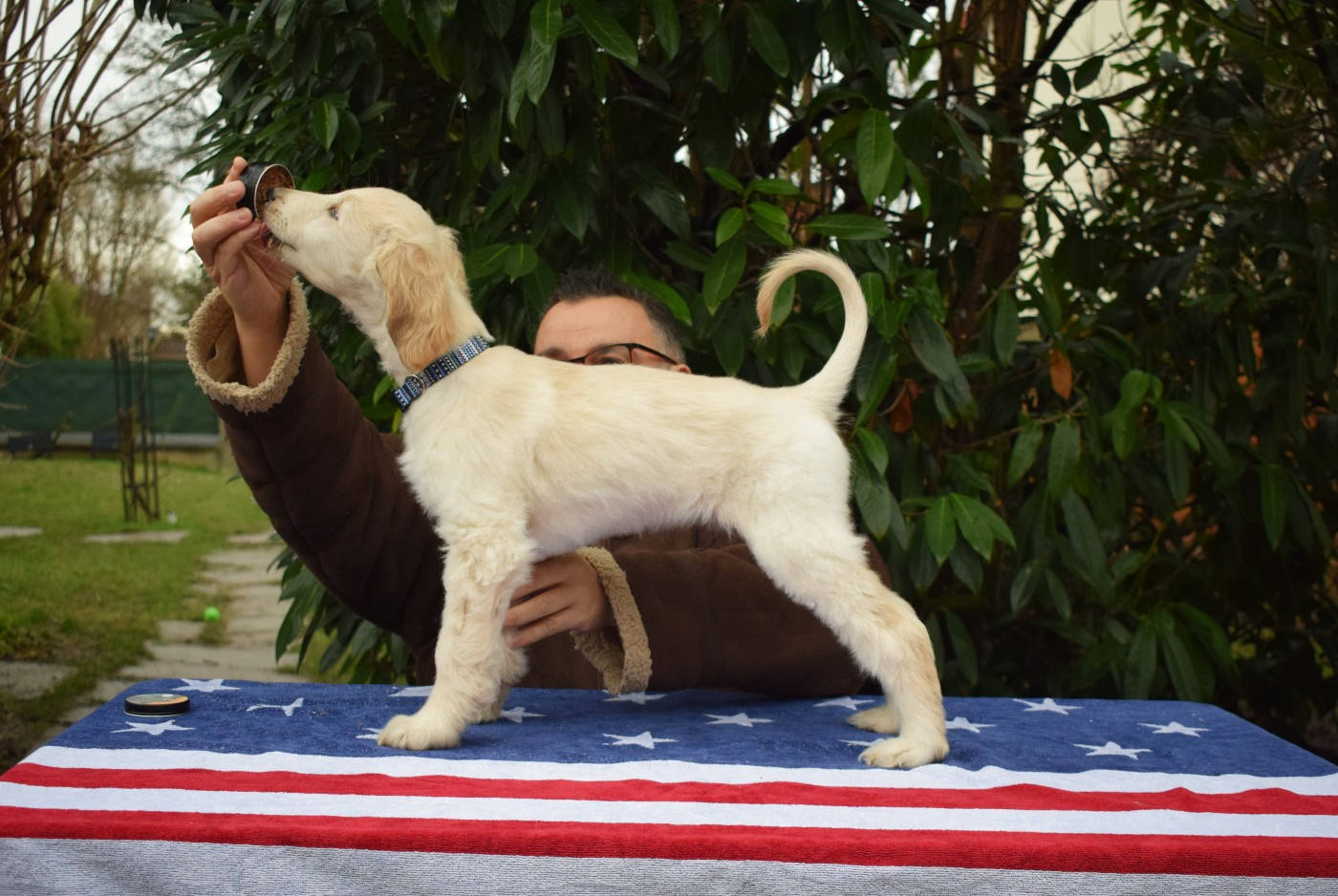 Agent Provocateur du Troisième Jour