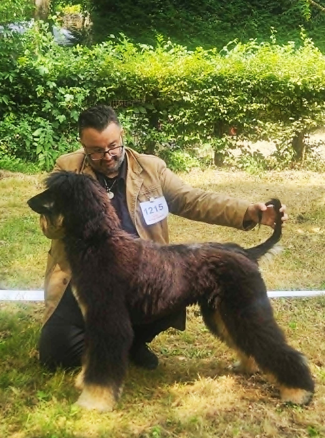 Le 26/07/2026 Très Prometteur Meilleur Puppy