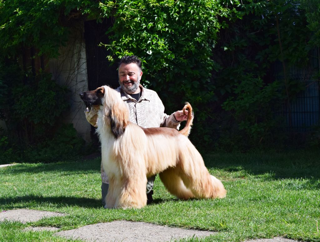 Nouvelles photos d'Uzziel Mai 2025